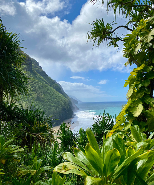 Exploring the Best of Kauai: My Unforgettable Hawaiian Adventure