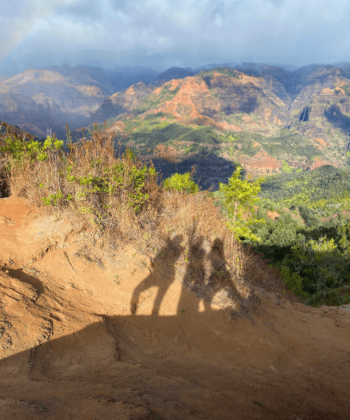 Three girls with a kawaii style enjoying the lookout view at Waimea Canyon in Hawaii, with lush greenery and dramatic cliffs in the background.