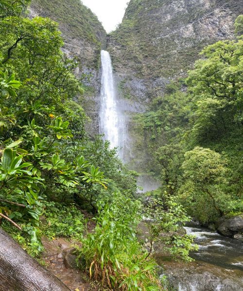 Chasing Waterfalls: My Experience Hiking the Hanakāpī‘ai Falls Trail in Kauai