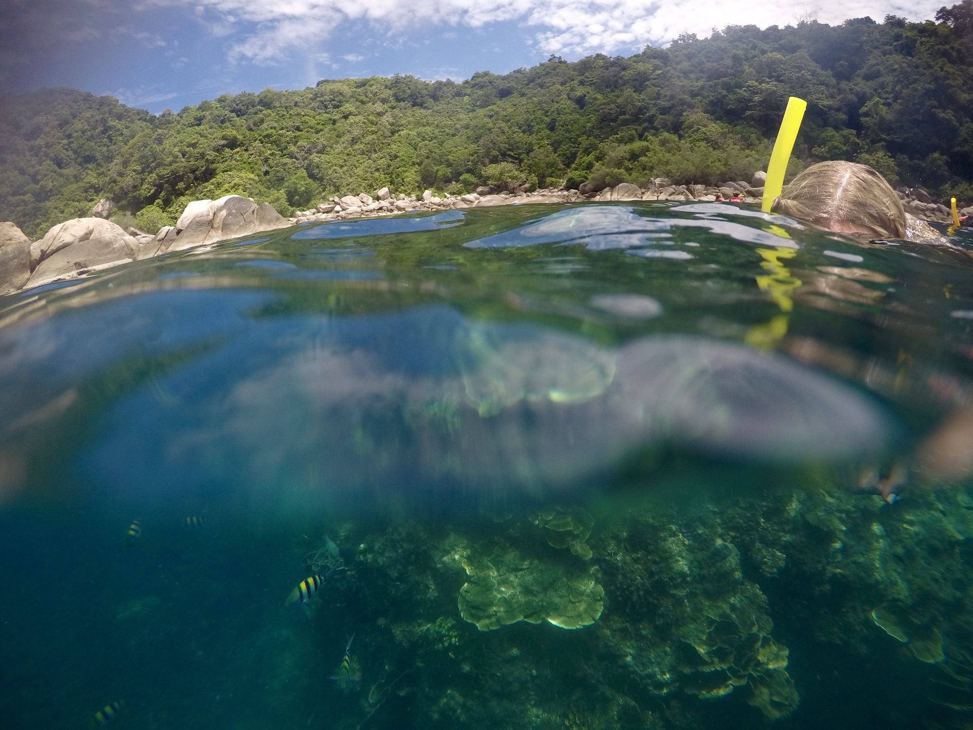 Koh Samui: A Guide to Thailand’s Tropical Island Paradise