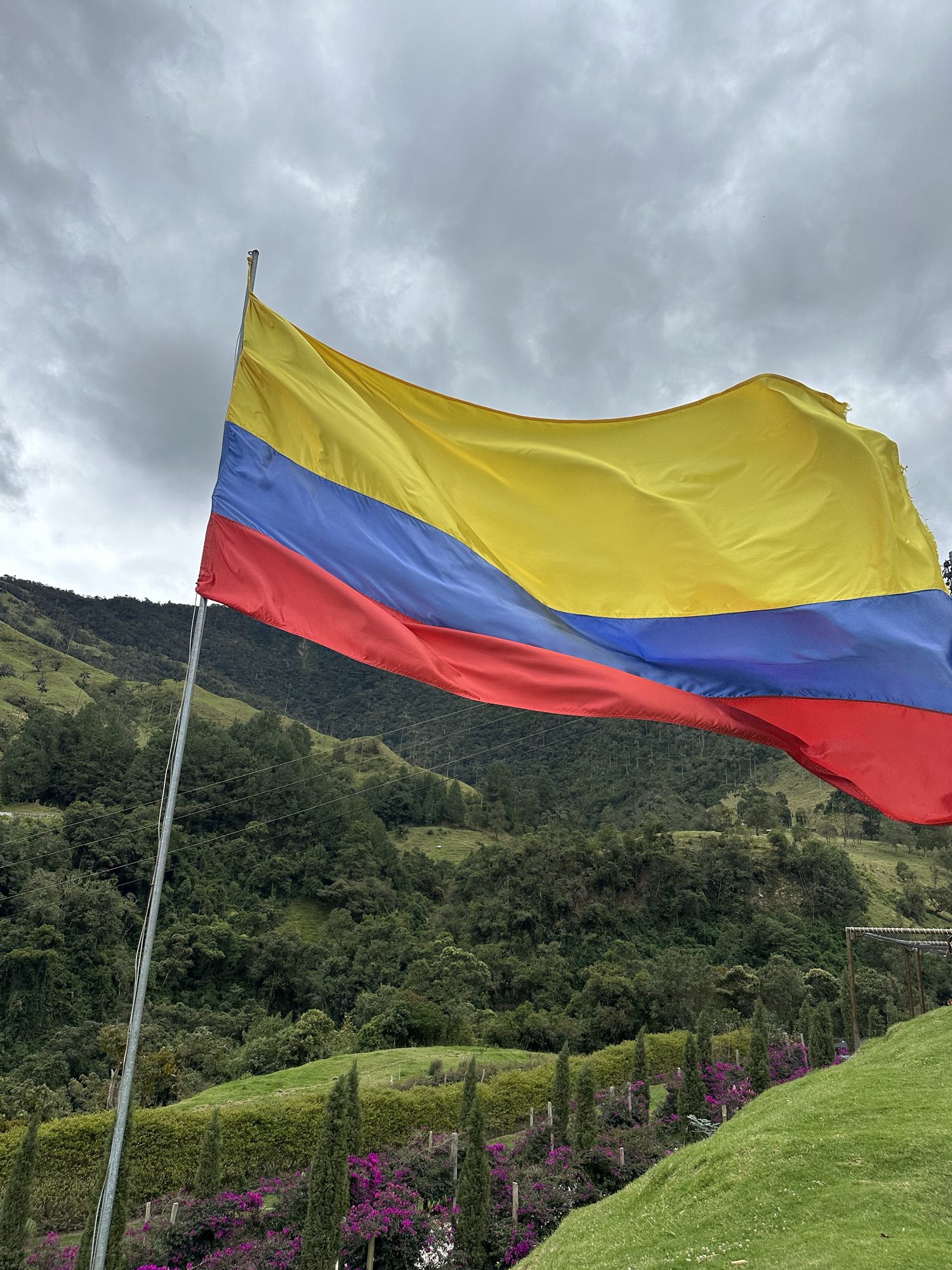 Exploring Colombia: A Fun 8-Day Journey Through Quindío and Cartagena