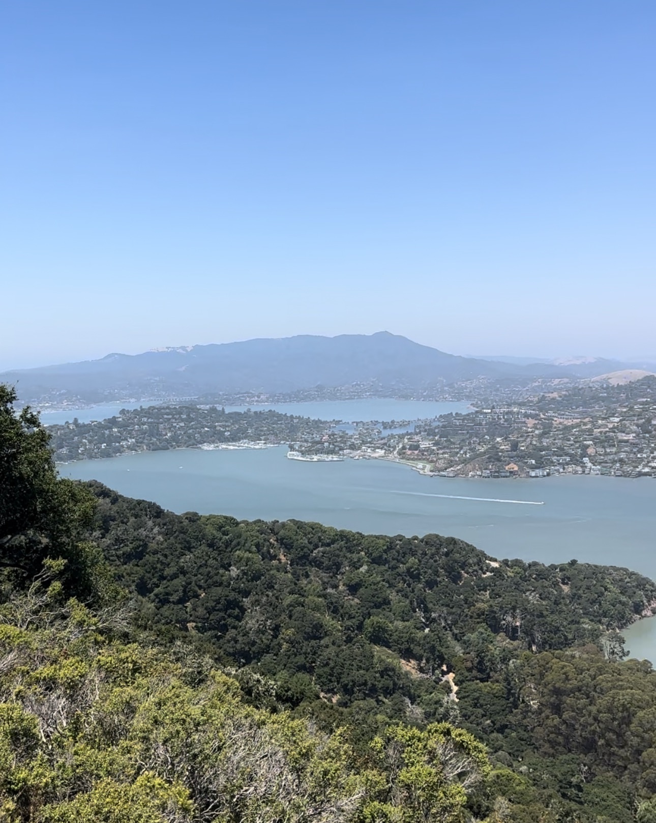 Angel Island Adventure: Hiking North Ridge & Sunset Loop