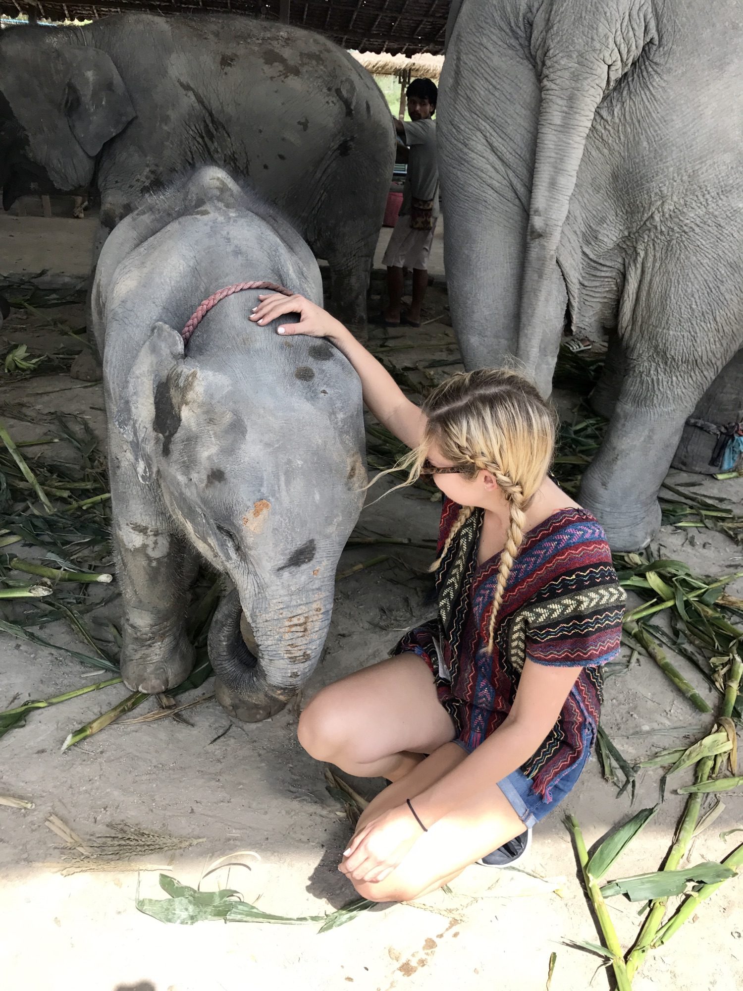 Chiang Mai: A Cultural and Nature Lover’s Dream in Northern Thailand