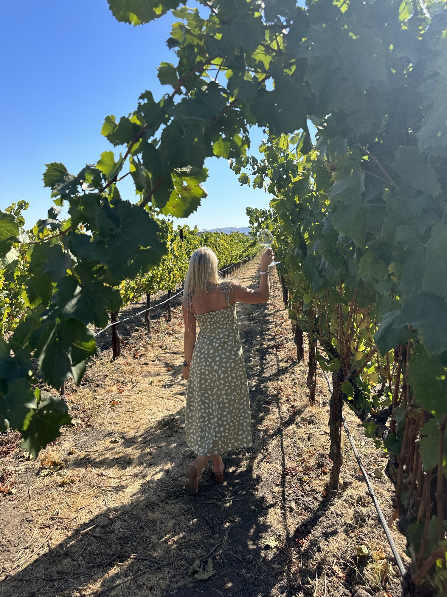 Maximizing Your Experience in Sonoma Valley: A Complete Guide