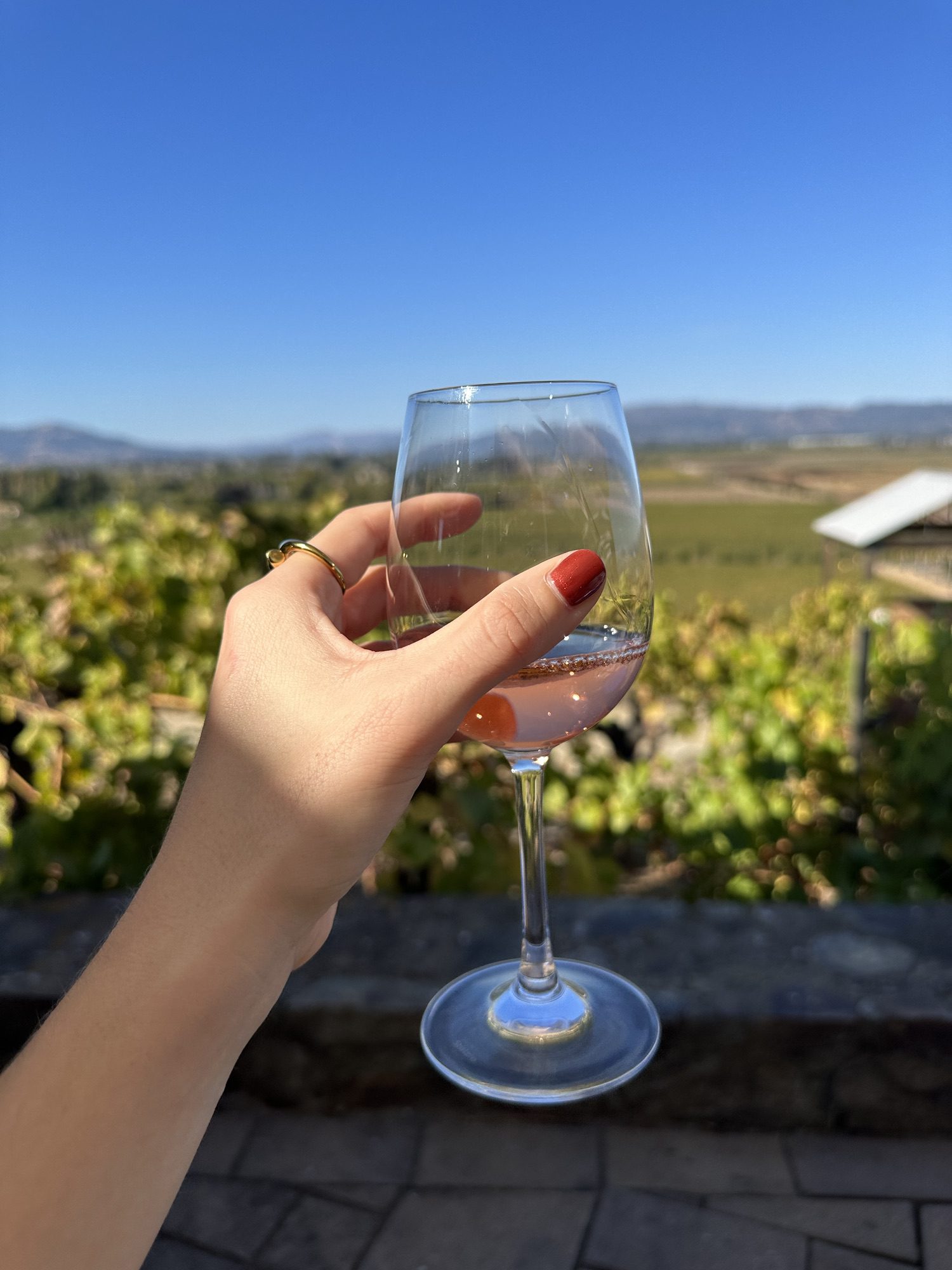 Wine Tasting at Home: Must-Have Supplies, Themes, and Tips for a Perfect Night