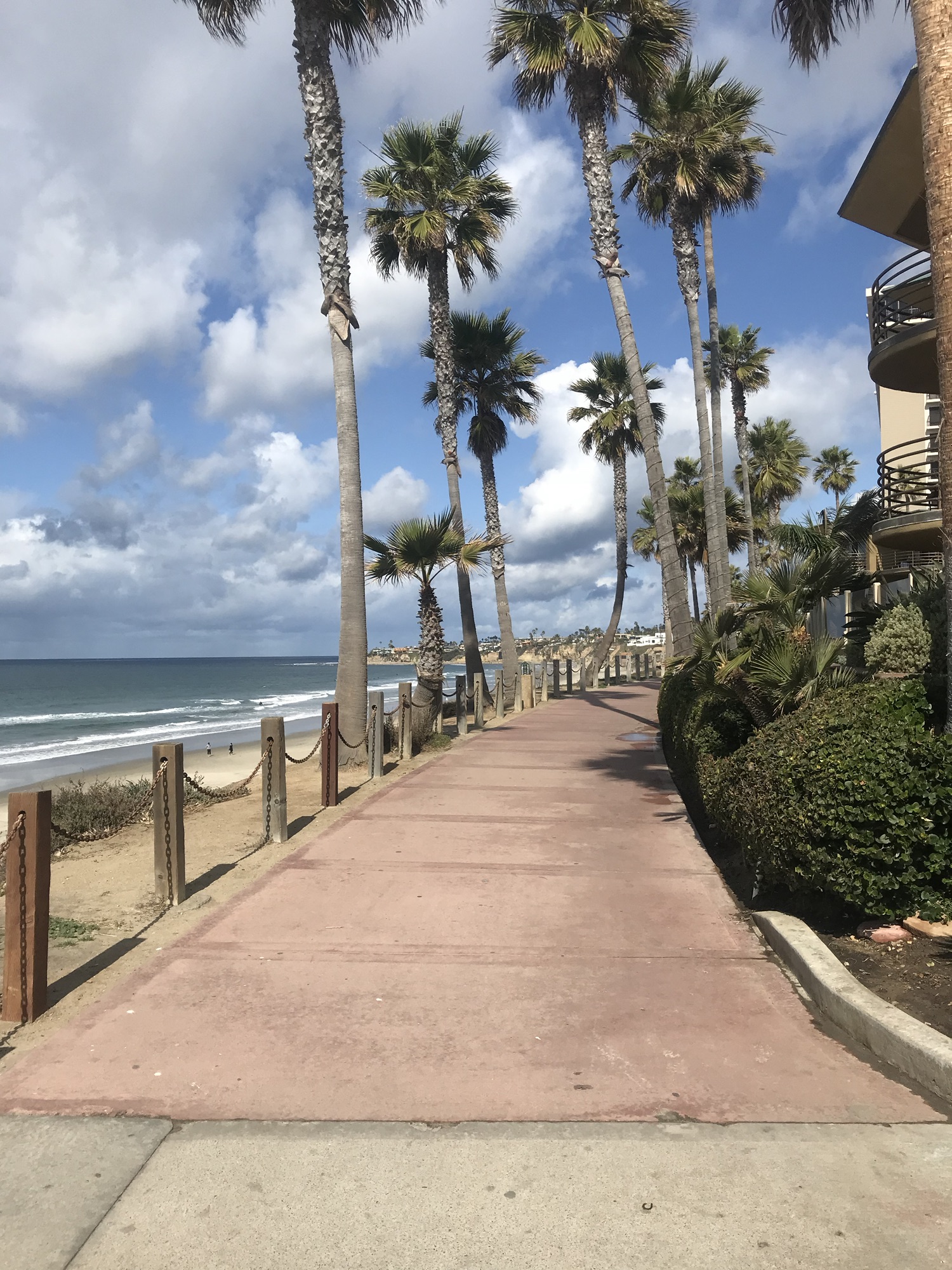 My San Diego Getaway: The Best Moments from My Trip