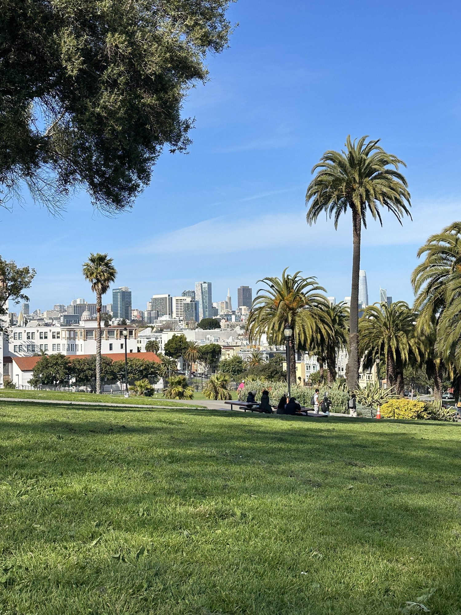 Beautiful sunny view of Dolores Park with green lawns, people relaxing, and clear blue skies in San Francisco.