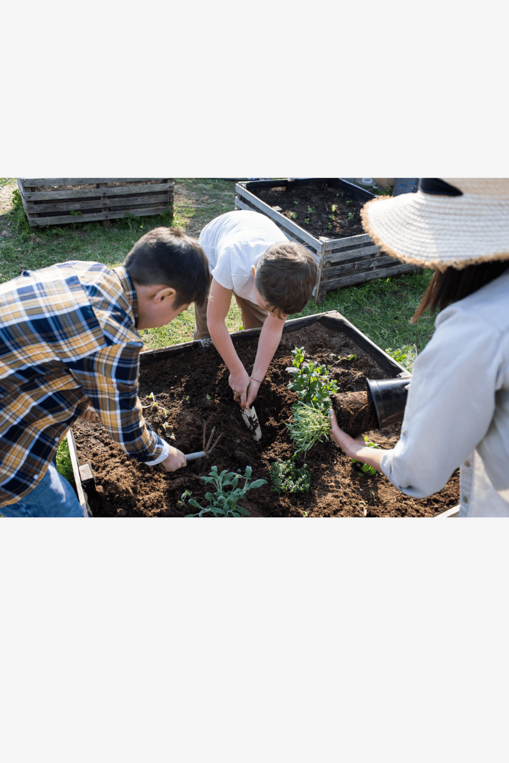 From Chaos to Crops: How I Make Gardening Work as a Full-Time Mom