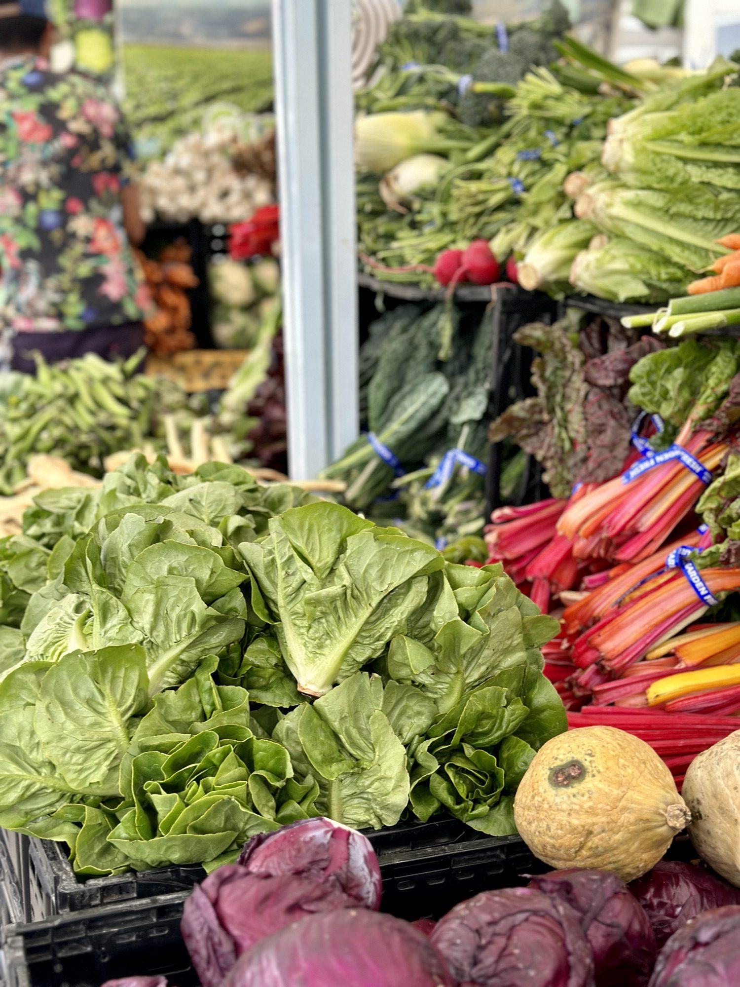 Sustainable Shopping at the Farmers Market: 7 Easy Eco-Friendly Tips