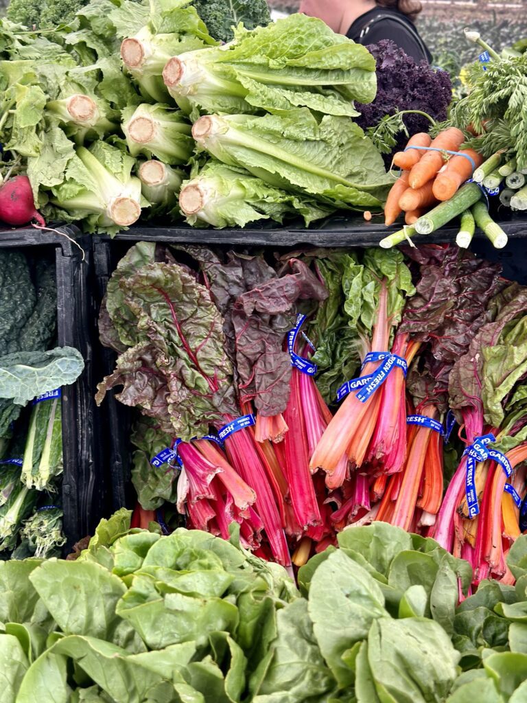 Assorted fresh vegetables including carrots, tomatoes, and lettuce at an outdoor farmers market