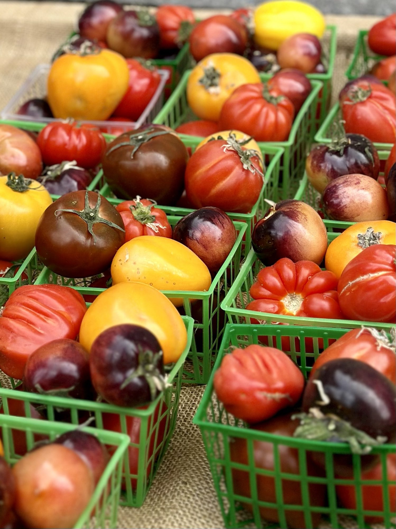 10 Tips for Making the Most of Your Farmers Market Visit