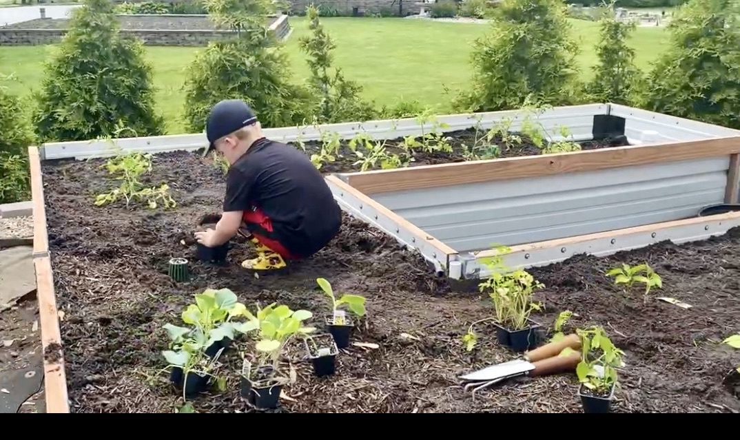 Easy Homesteading Projects That Will Keep Your Kids Happy and Learning