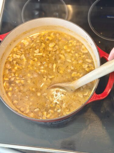 A red pot containing simmering stew with chopped ingredients, being stirred with a wooden spoon.