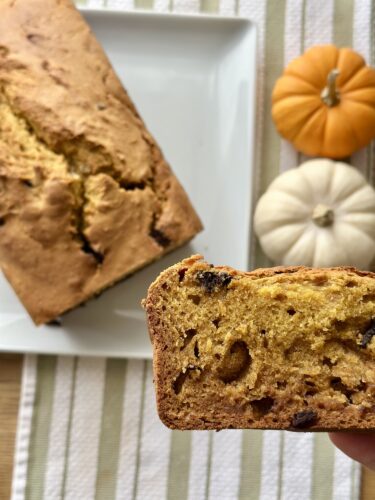 A slice of pumpkin bread with chocolate chips in hand, showing its moist texture, with a loaf of pumpkin bread and small decorative pumpkins in the background.