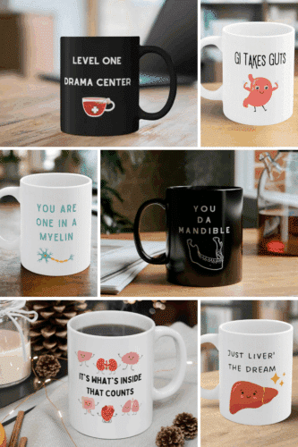 A collection of six anatomy-themed coffee mugs featuring humorous phrases and designs, highlighting various anatomical structures.