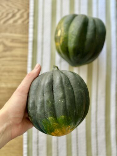 A person holding a ripe acorn squash with a second squash in the background on a striped kitchen towel.