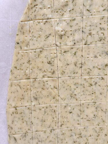 A close-up view of rolled-out cracker dough, scored into squares and sprinkled with dill.