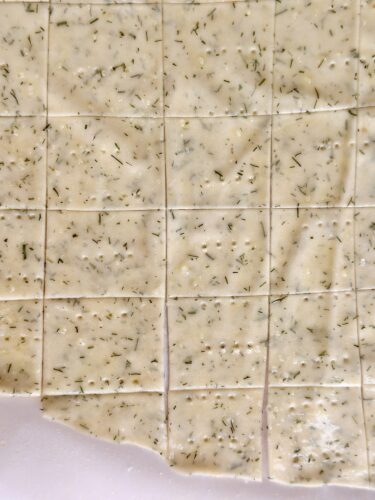 A close-up of unbaked dough for homemade dill crackers, rolled out and scored into squares, with visible bits of dried dill throughout.