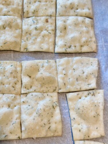 A close-up of uncooked homemade dill crackers, scored into squares on parchment paper, with visible herbs and a light sheen from olive oil.