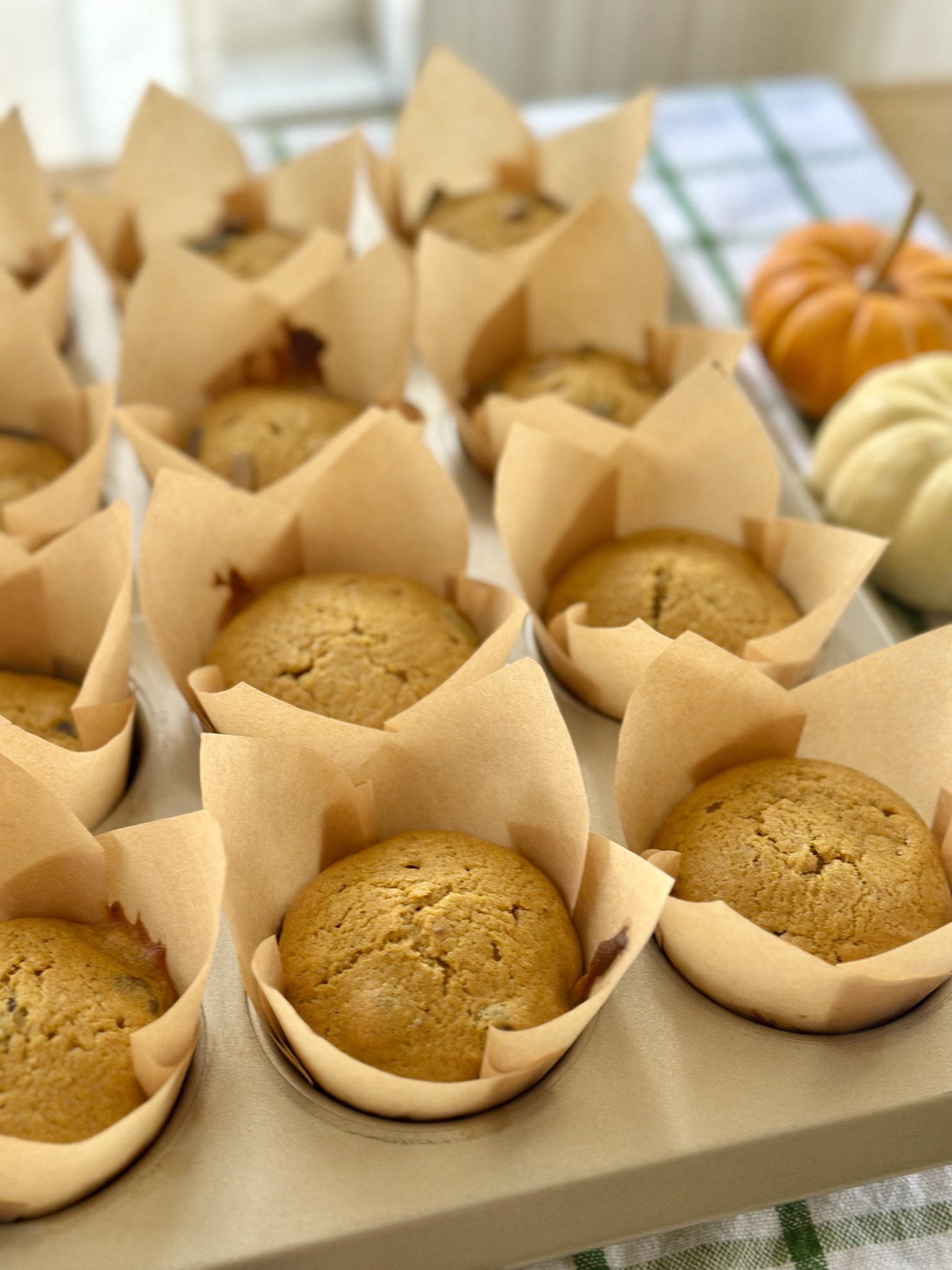 Easy Pumpkin Chocolate Chip Muffins