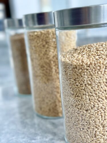 Three clear glass jars filled with various types of grains, showcasing their textures and colors.