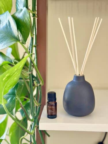 DIY Reed Diffusers