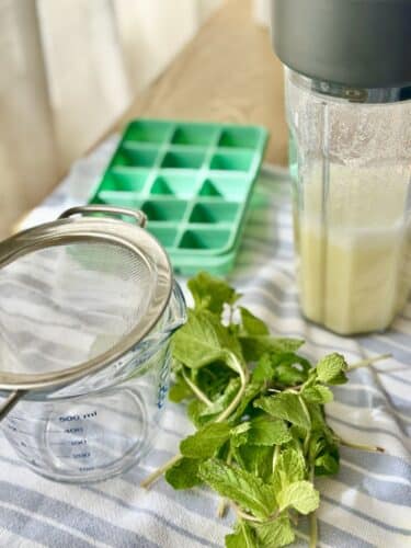 A measuring cup, a sieve, fresh mint leaves, an ice cube tray, and a blender filled with a light-colored mixture, arranged on a striped cloth.