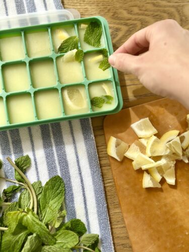 A hand adds mint leaves to a green ice cube tray filled with a liquid, alongside a cutting board with chopped lemon and mint sprigs.