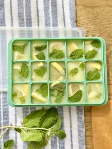 Lemon Mint Ginger Tea Cubes