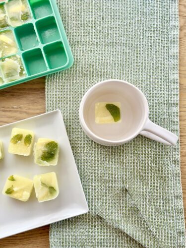 A white mug with a melting ice cube inside sits on a light green textured placemat, next to a white plate filled with ice cubes that have green herbs frozen inside. In the background, there is a green ice cube tray.