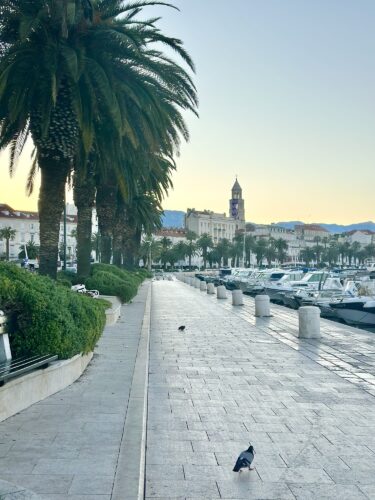 Scenic waterfront promenade lined with palm trees, featuring a view of boats and a historical building in the background during sunrise.