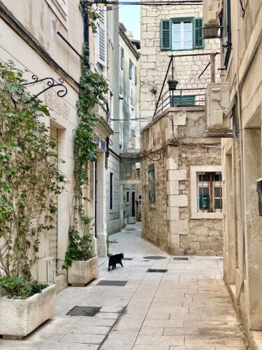 Narrow stone alleyway with buildings on either side, featuring greenery and a black cat walking down the center.