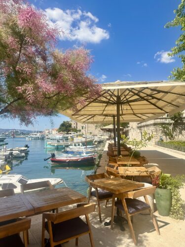 A picturesque waterfront scene featuring a pastel-colored harbor with various boats docked. In the foreground, there are wooden dining tables under an umbrella, surrounded by greenery and flowering trees, with a clear blue sky overhead.