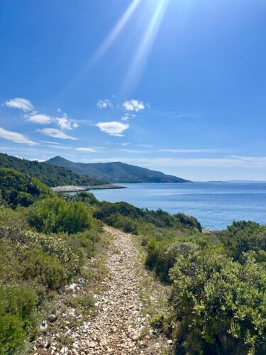 A scenic coastal pathway bordered by greenery, leading towards a calm blue sea under a bright, sunny sky.