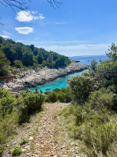 A scenic pathway leading to a turquoise cove surrounded by lush greenery and rocky cliffs under a clear blue sky.