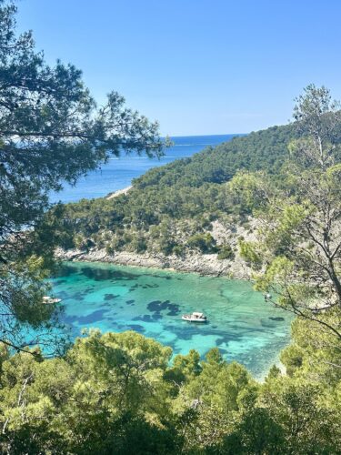 Scenic view of a turquoise cove surrounded by green hills and trees, with a small boat on the water.