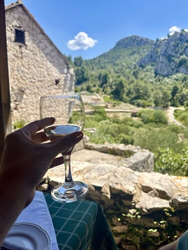 A hand holding a wine glass in front of a scenic outdoor view featuring hills and greenery, with a stone building visible in the background.
