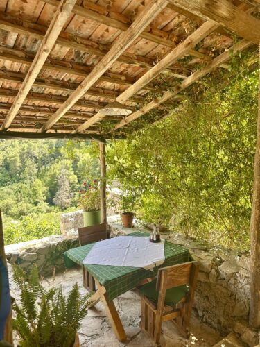 A cozy outdoor seating area with a wooden table covered by a white cloth, surrounded by lush greenery and potted plants, under a wooden roof.