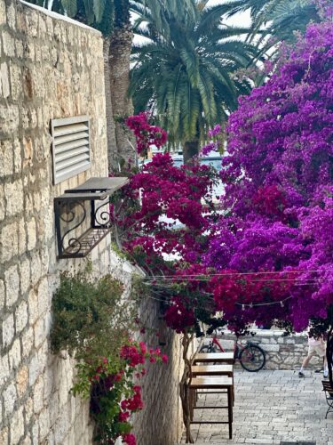 A scenic view of a stone wall with a window, surrounded by vibrant bougainvillea flowers in shades of purple and pink, palm trees in the background, and a cobblestone street with wooden chairs and a bicycle.