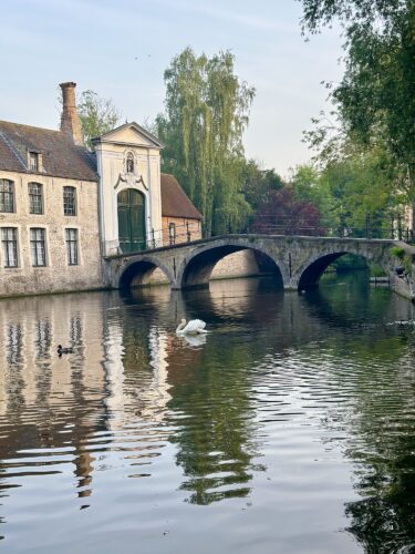 A serene canal scene featuring a stone bridge arching over calm waters, with a swan and ducks swimming nearby. A historic building with a green door is positioned next to the canal, surrounded by lush trees.