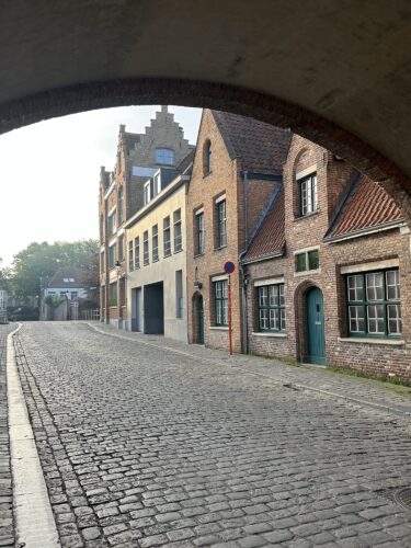 View of a cobblestone street lined with historic brick buildings, including a mix of residential and commercial architecture, under a stone archway.