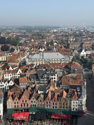 Aerial view of a historic cityscape featuring traditional European architecture with red-roofed buildings, shops, and streets, surrounded by greenery and a distant skyline.