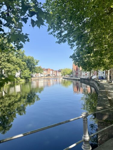 A serene view of a calm canal lined with trees, reflecting buildings and blue sky on the water's surface.