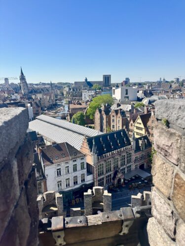 A panoramic view of a cityscape featuring historical buildings and rooftops, with a clear blue sky in the background.
