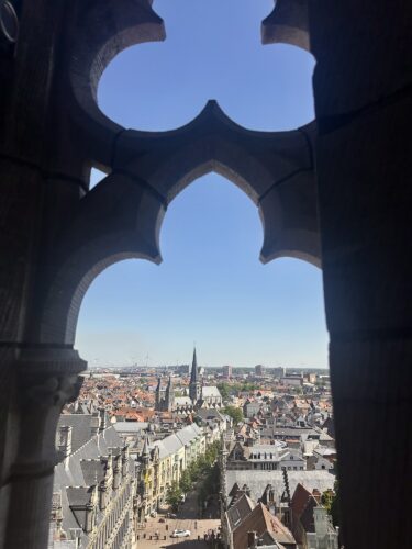 View from a gothic-style window overlooking a cityscape with red rooftops and a church spire in the distance.