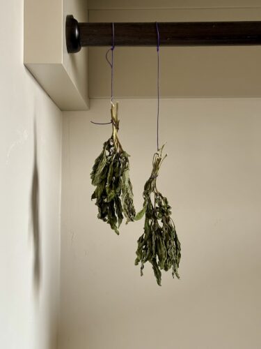 Drying Fresh Herbs
