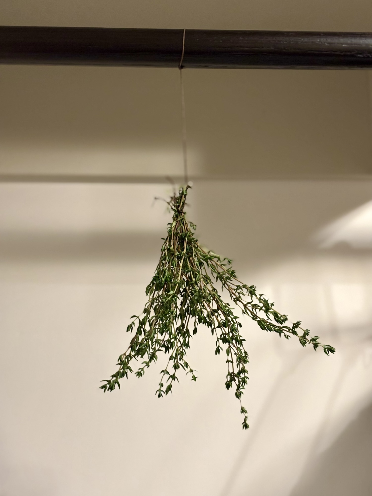 Drying Fresh Herbs from Your Garden : How I Save Summer’s Harvest All Year Long