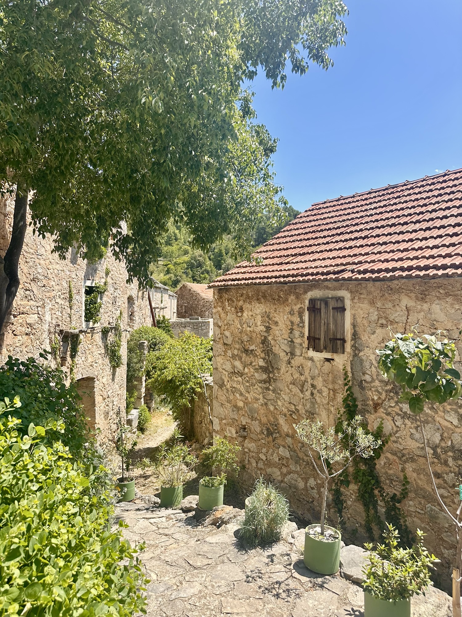 Lunch in an Abandoned Village in Hvar: My Experience at Konoba Stori Komin in Malo Grablje